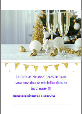 Capture-d-ecran-2024-12-30-134057