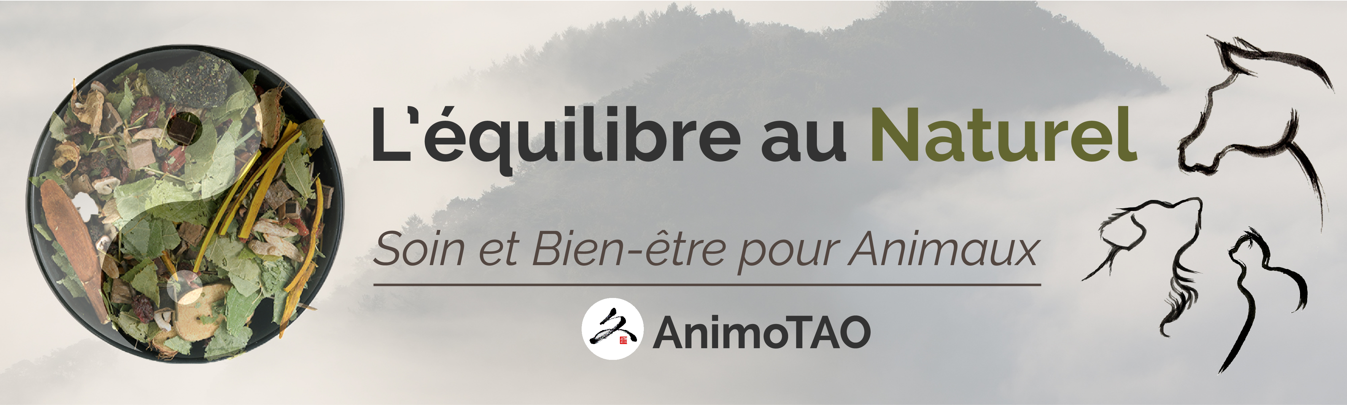 Banniere-AnimoTAO-02