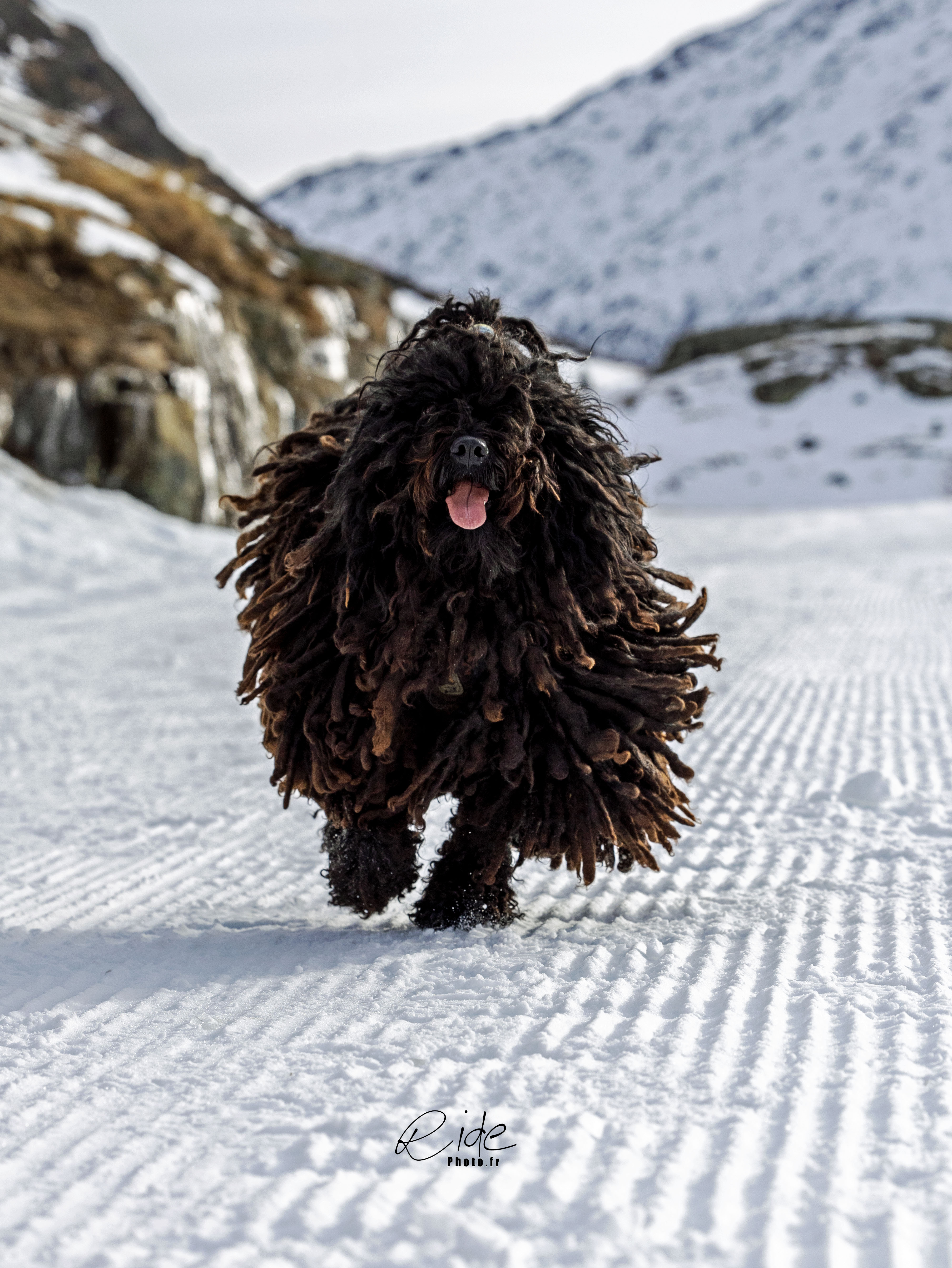 Scisca berger alpe d huez 02 01 2025 jipi1697 cr cc