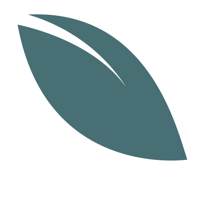 Noun-leaf-466405-copie