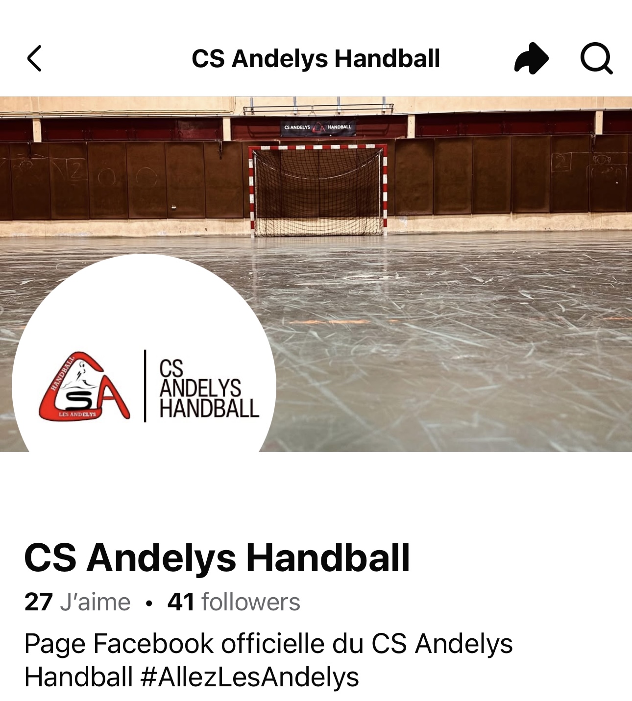 Page-fb