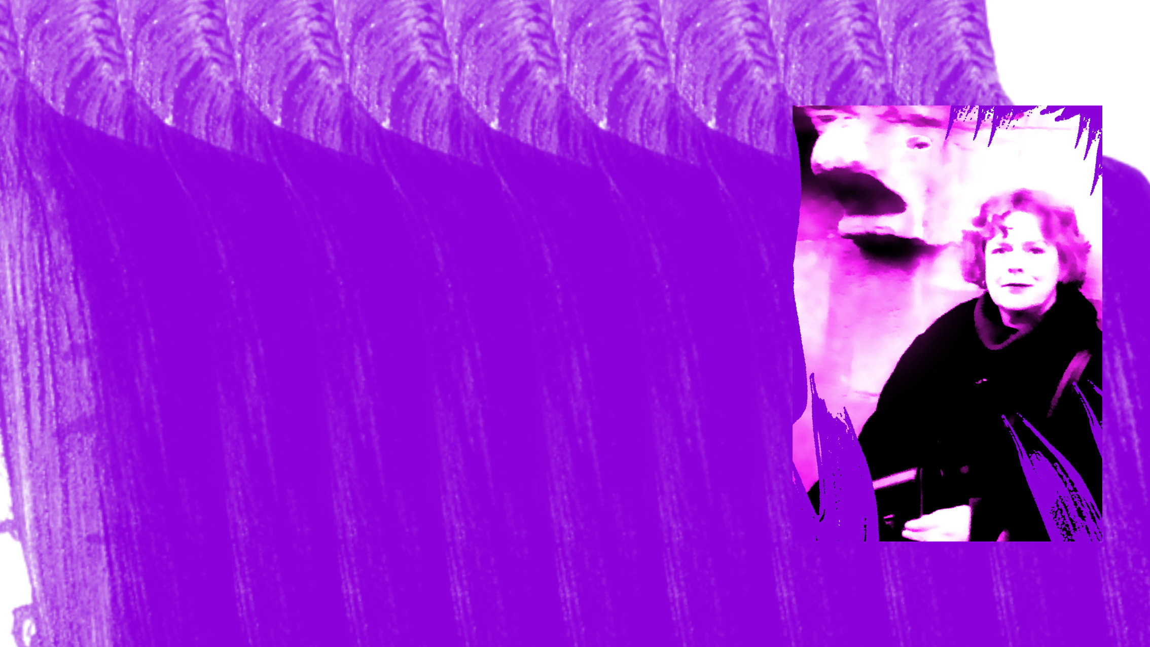 Gcviolet5