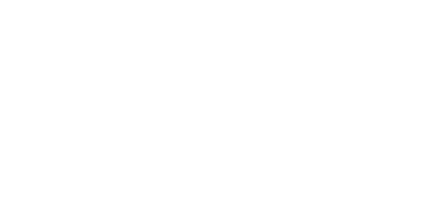 Logo SEIYA