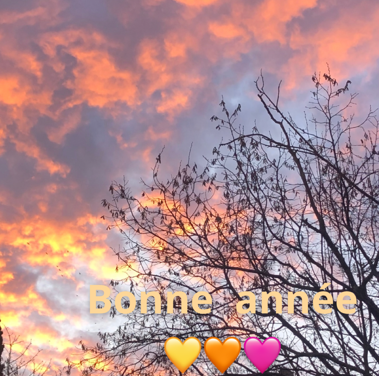 Bonne-anne-e-2025