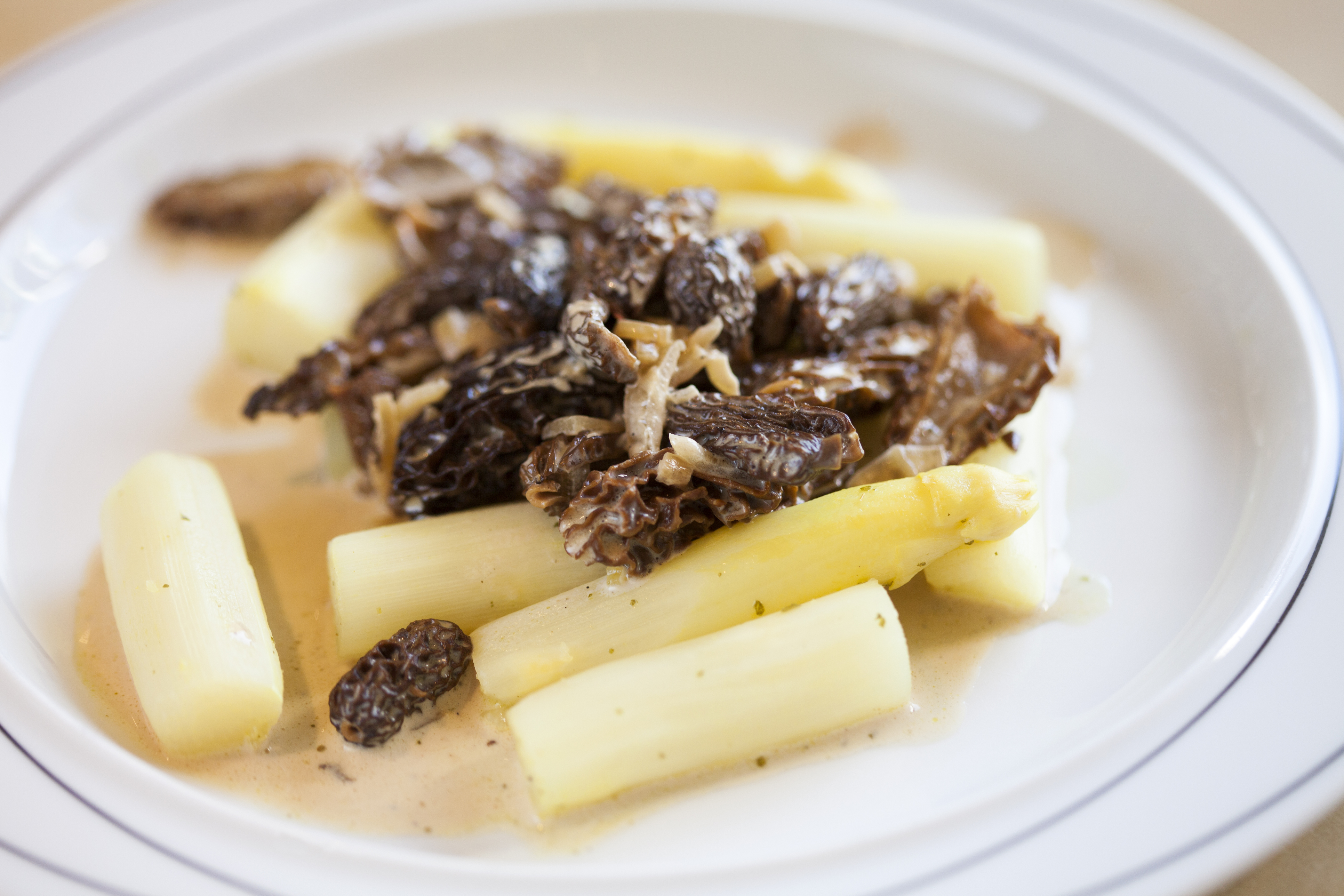 Asperges-aux-morilles