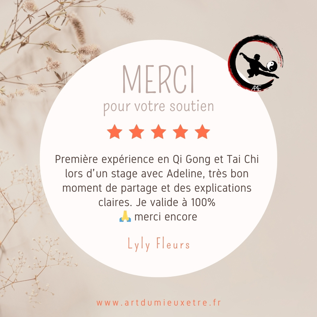 Cours qi gong tai chi artdumieuxetre bourgoin avis google 2023 2