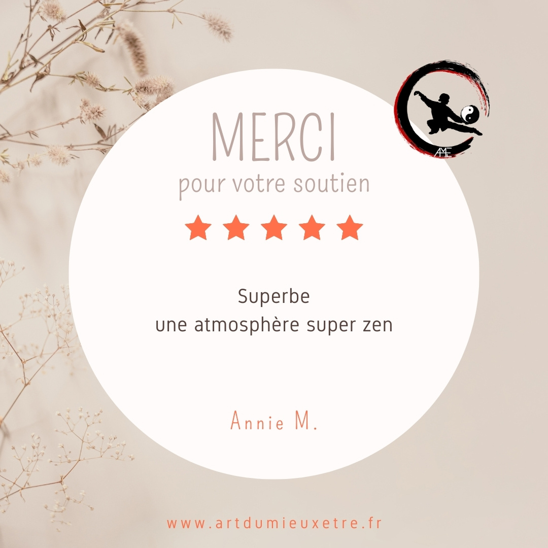 Cours qi gong tai chi artdumieuxetre bourgoin avis google 2023 1