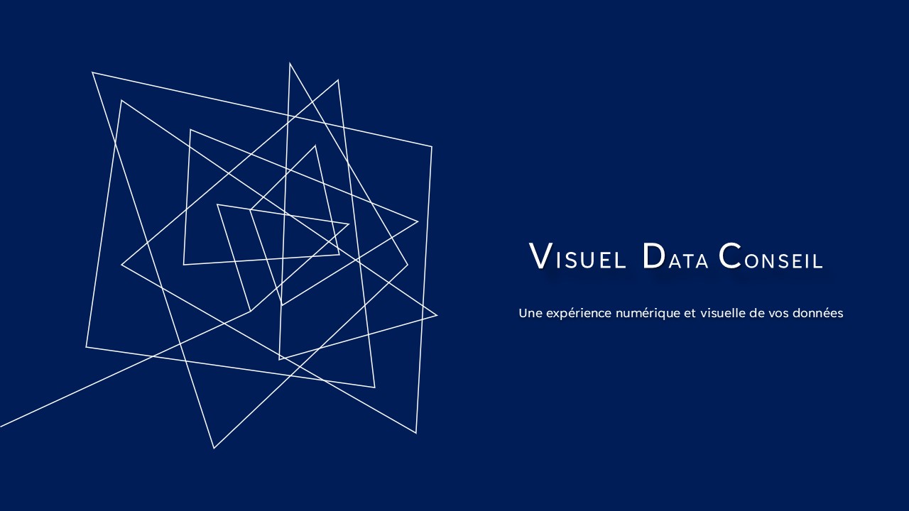 Visuel-Data-Conseil-10-01-2025-V1