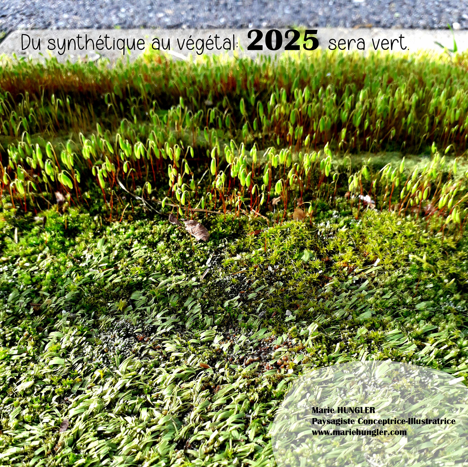 MH2025web