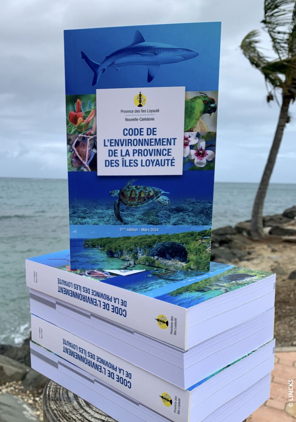 Visuel Nouveau-code-environnement-PIL