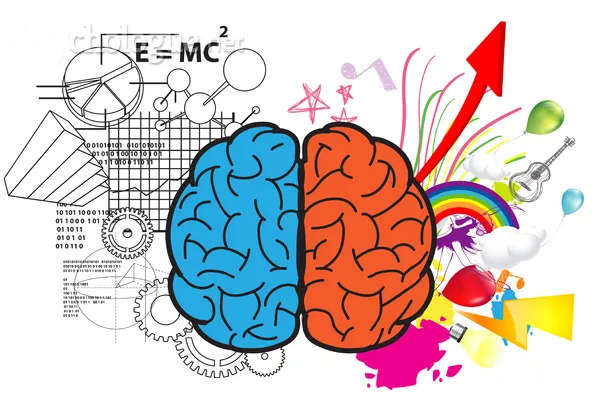 Cerveau4