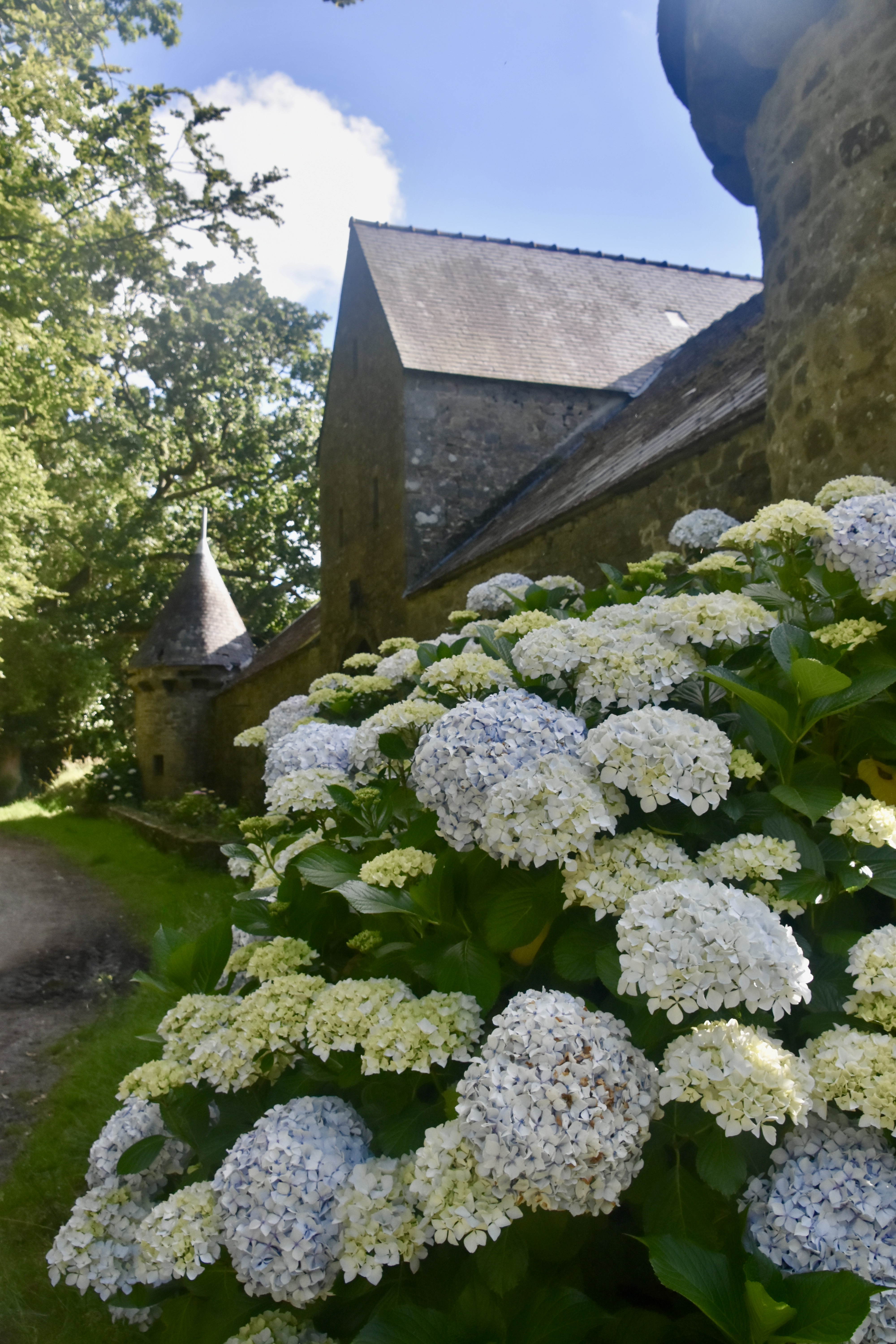 DSC 5908
