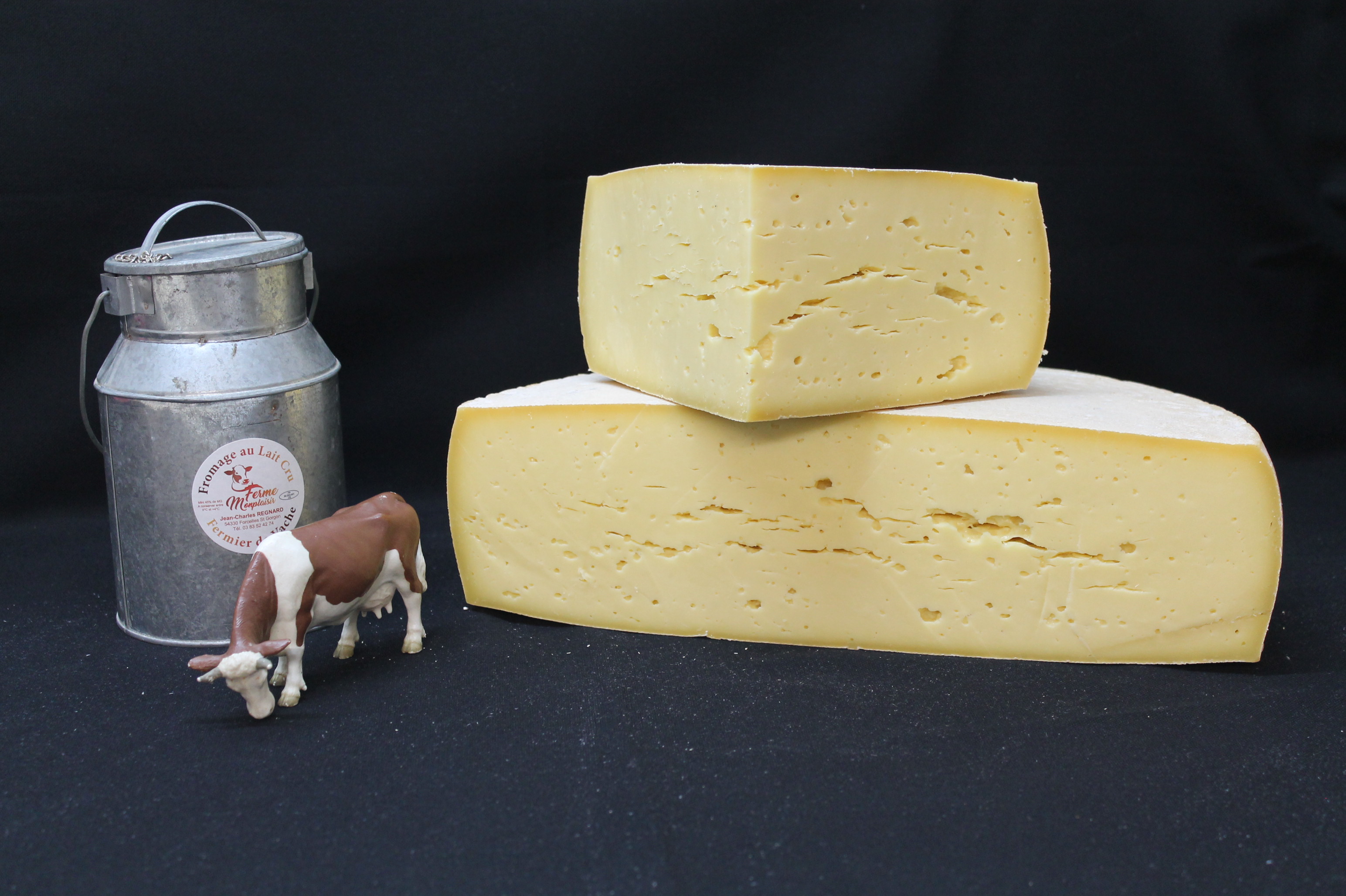 Tomme-Nature-Ferme-Monplaisir