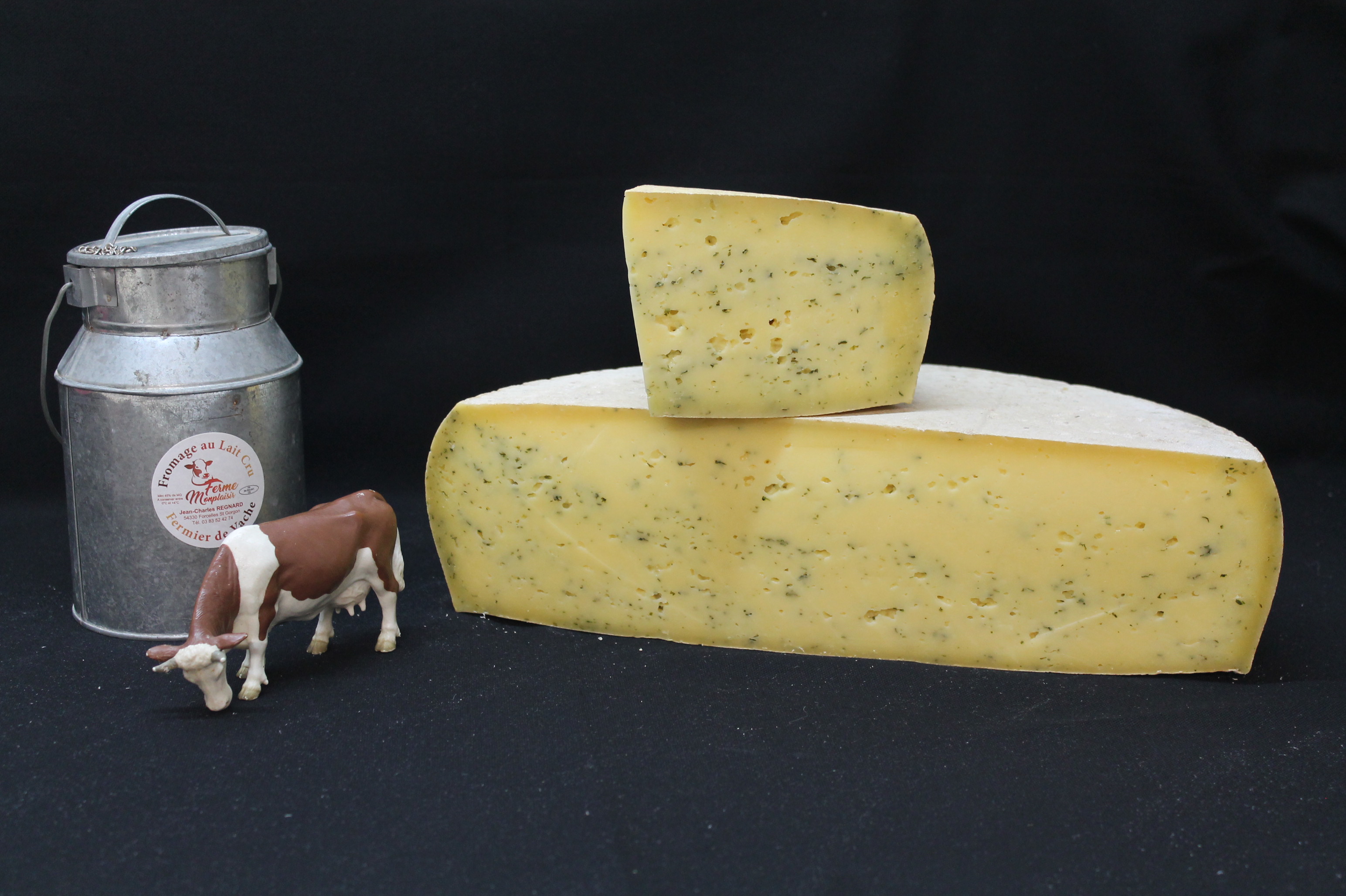 Tomme-ail-des-ours-Ferme-Monplaisir