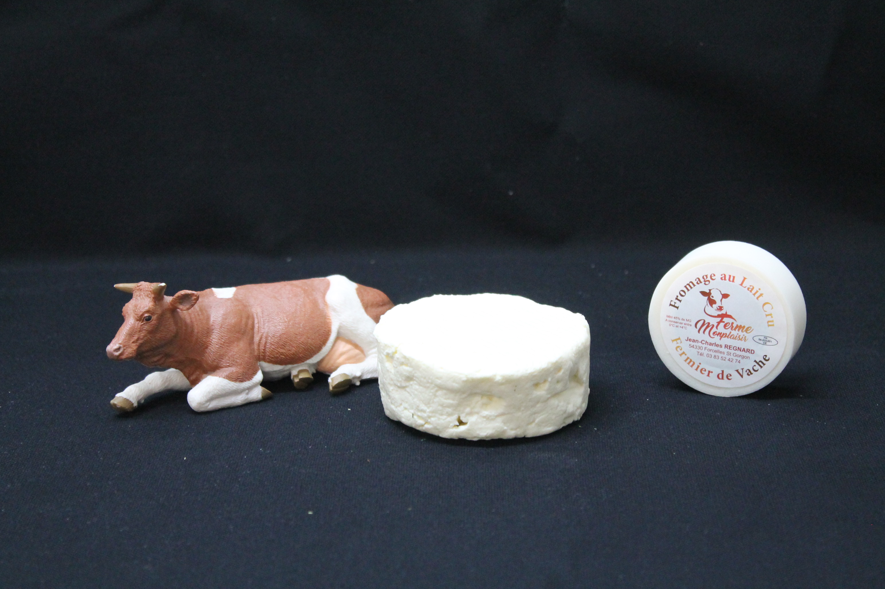 Fromage-frais-gros-nature-Ferme-Monplaisir