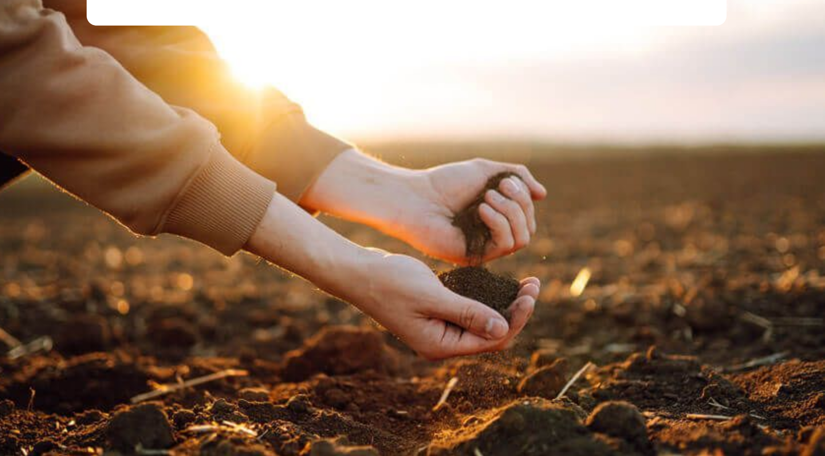 Les sols : un trésor à protéger - ADEME