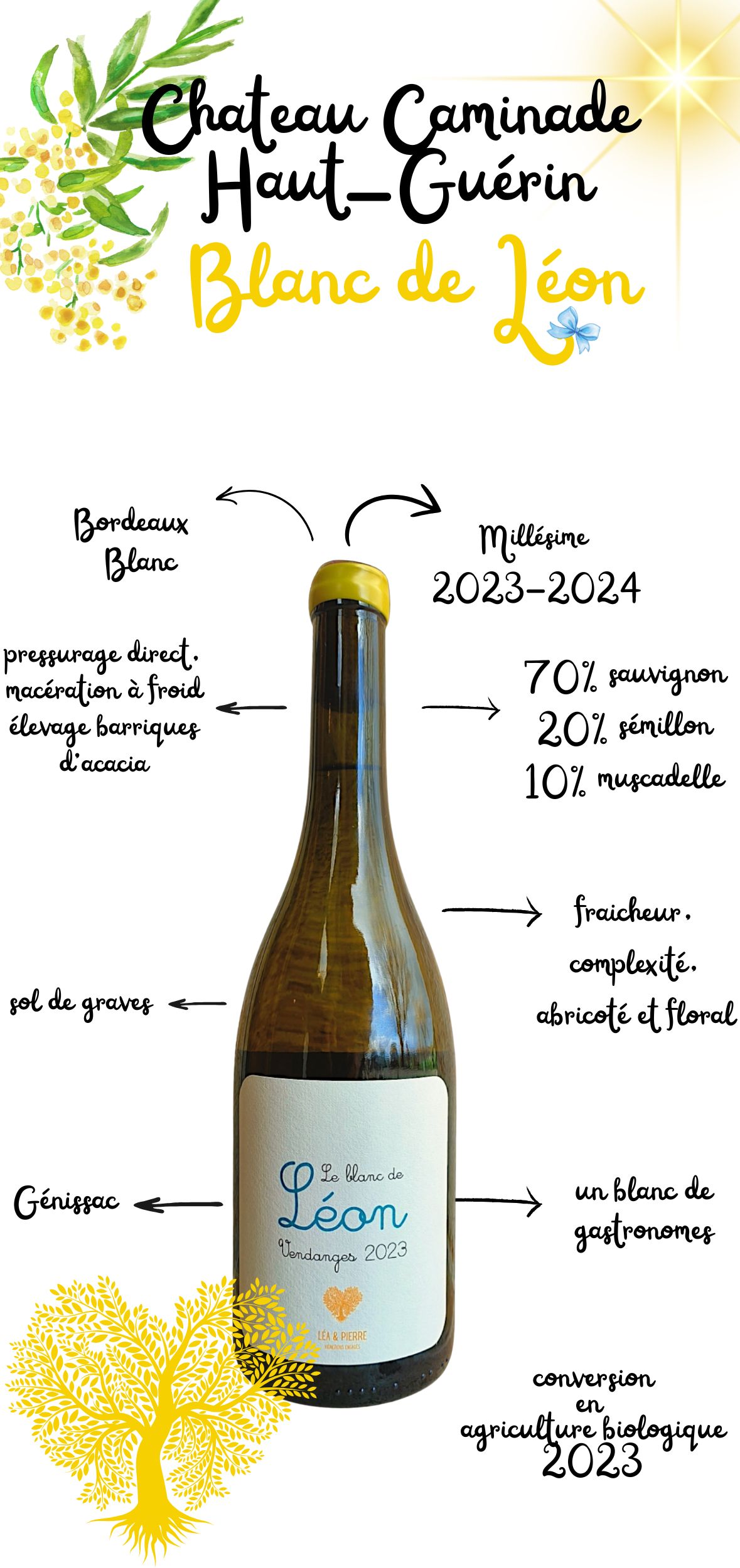 Millesime-2023-2024