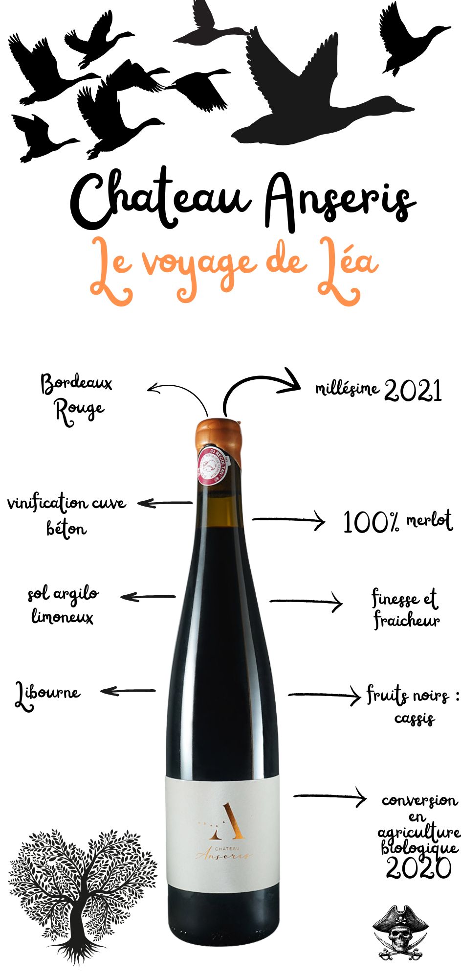 Voyage