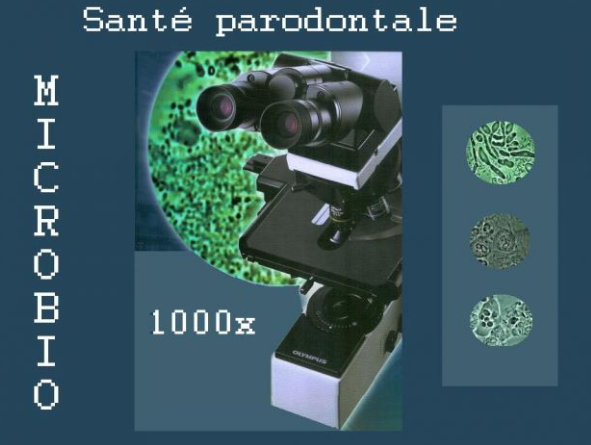 Microscope