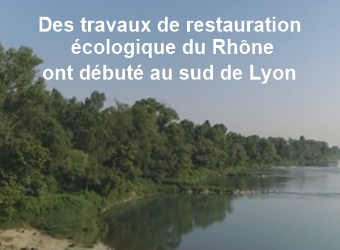 Rhône : retour de la biodiversité
