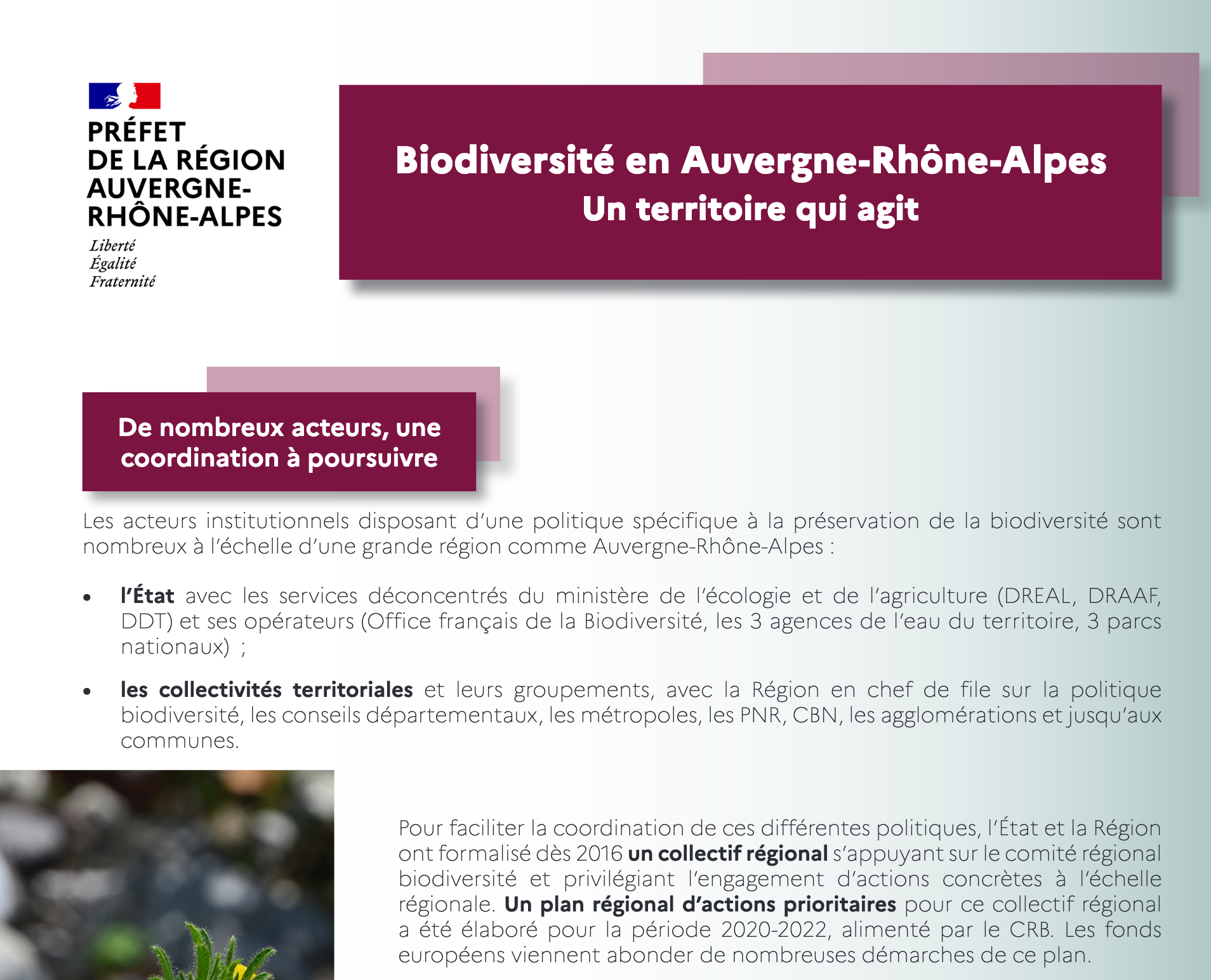 Screenshot-2025-01-25-at-14-04-33-fiches biodiv ehn politiqueaura-pdf