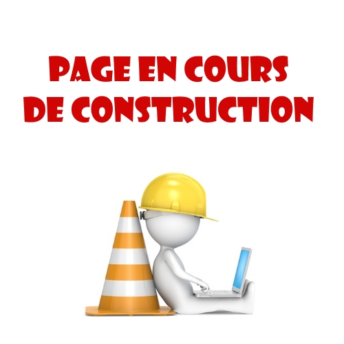 En-cours-de-construction