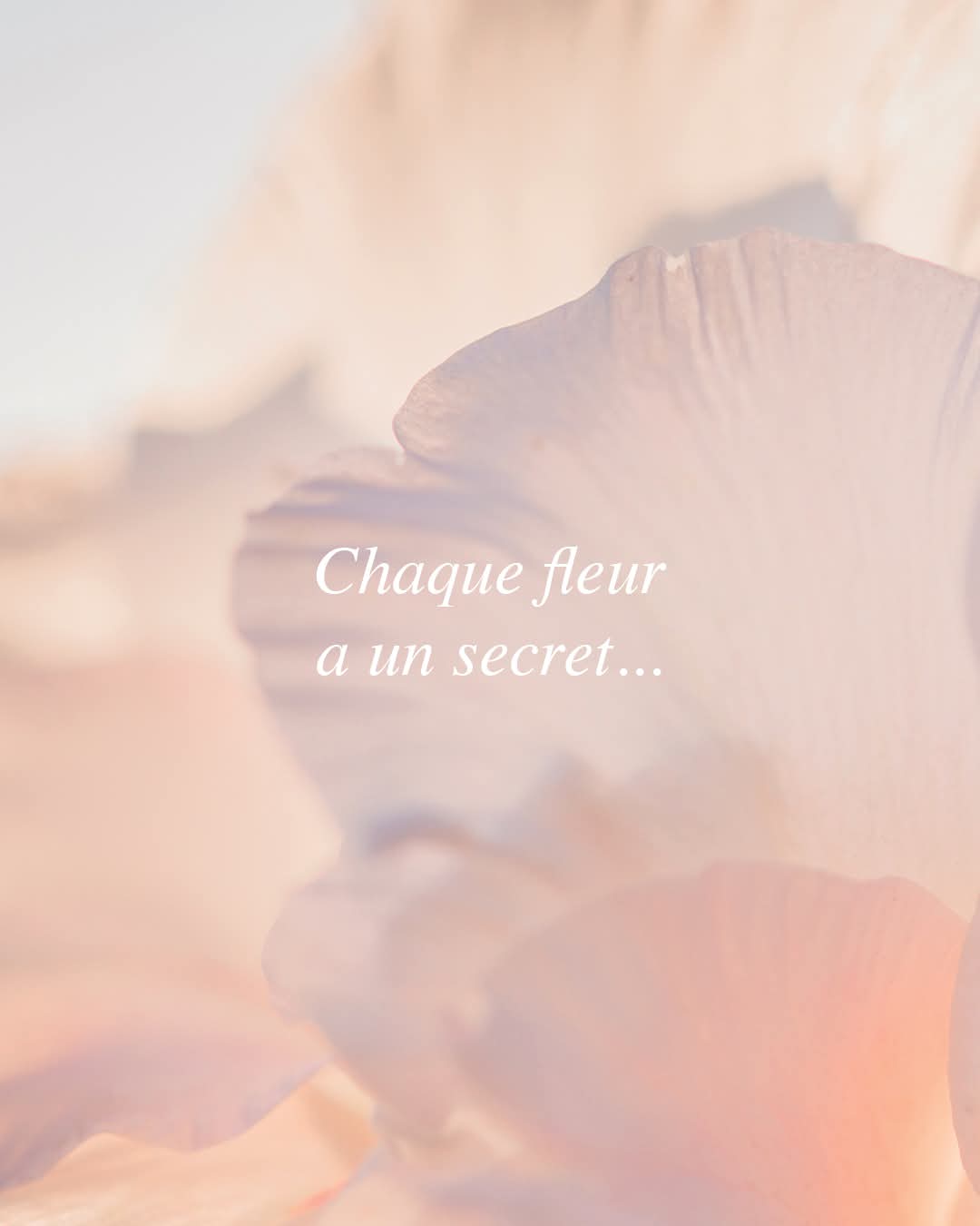 FB IMG 1737150628960