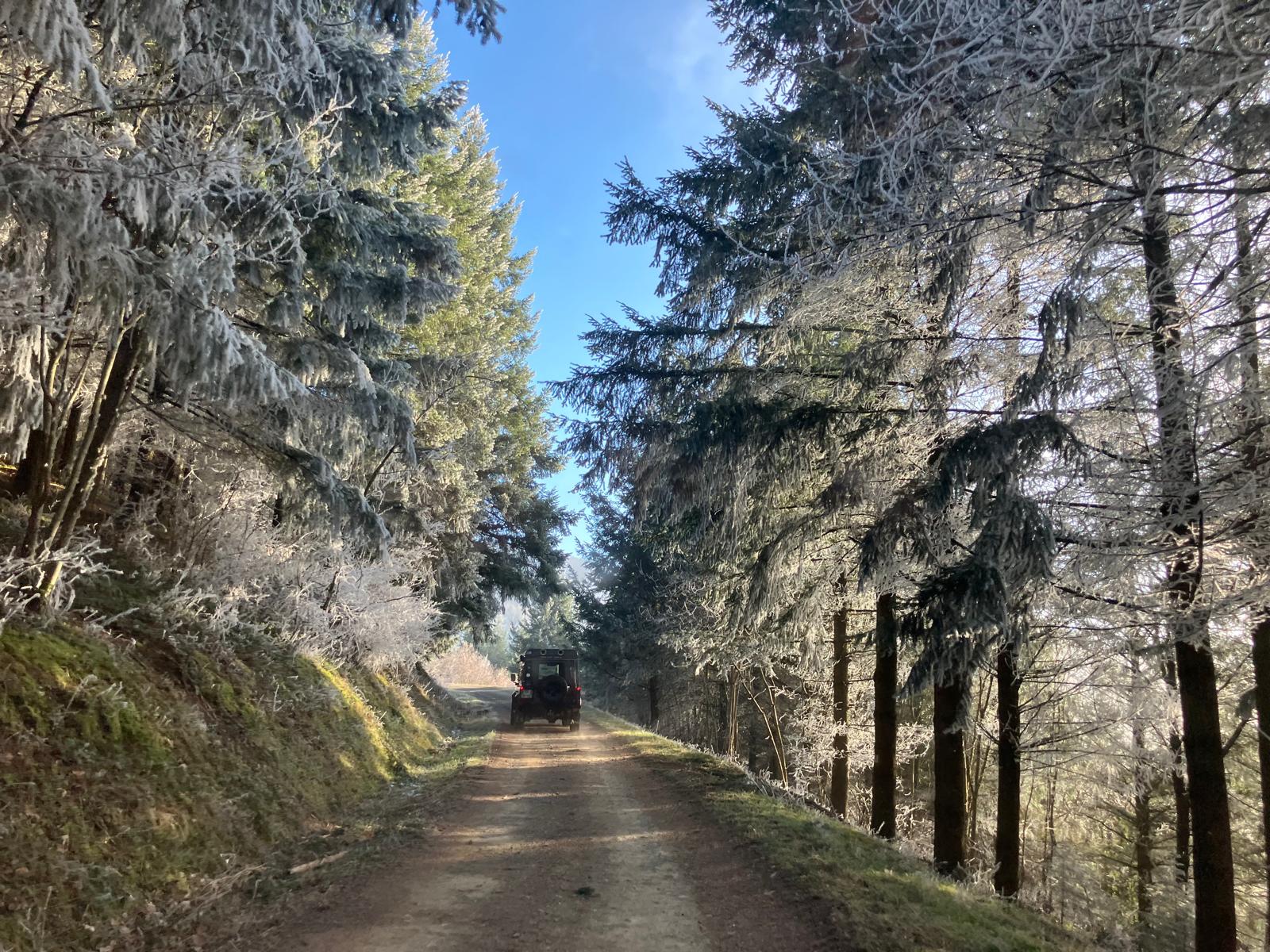 0de082d0-8a91-4637-affa-653d3f9d7b85