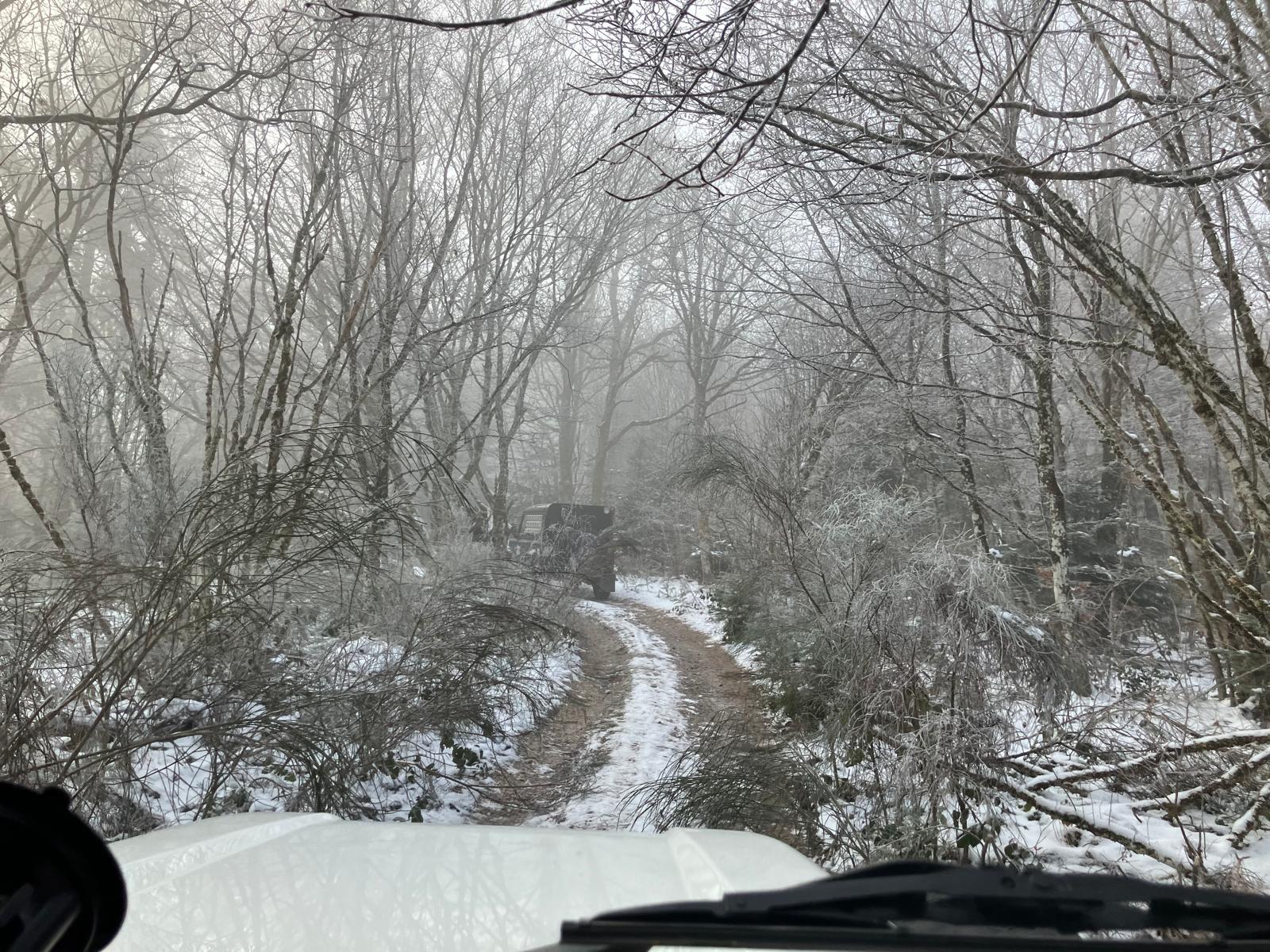 61e68be6-e3b2-4d66-9c25-e5bc925001b9