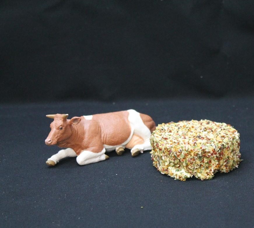 Fromage-frais-gros-jardin-ferme-1