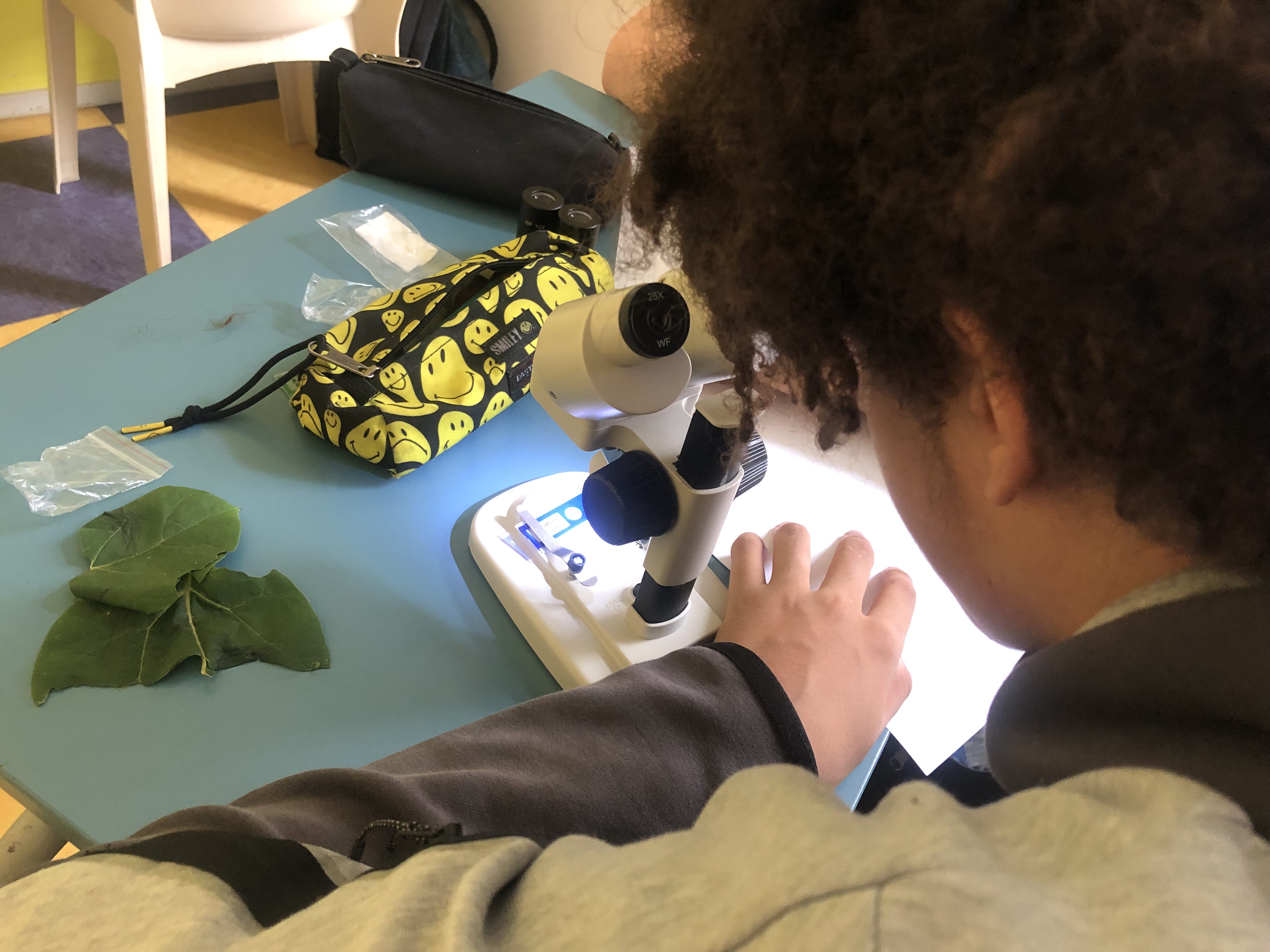 Microscope copie