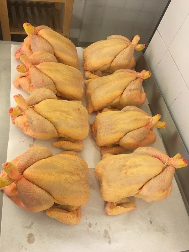 Poulet