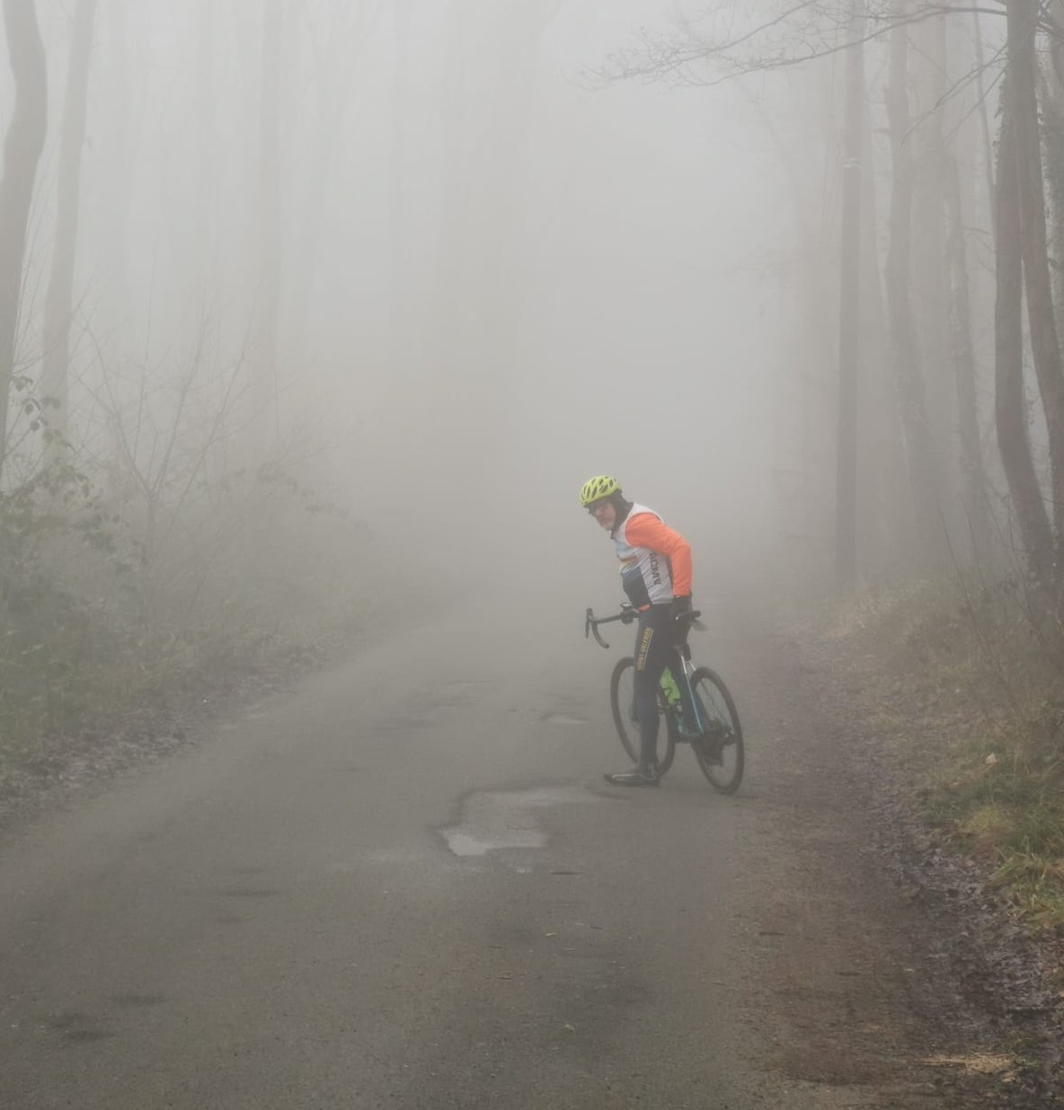 Img 20250201 wa0003 2