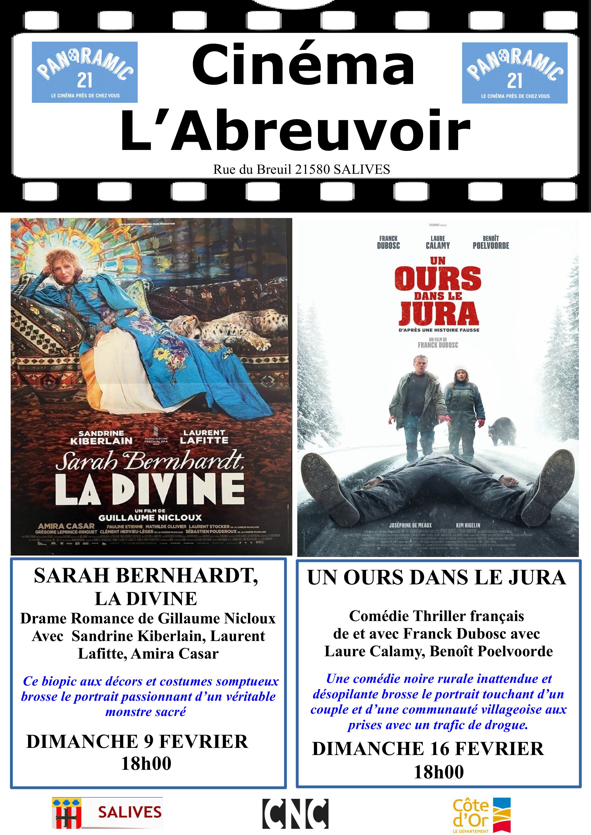 Programme-cinema-abreuvoir-fevrier-2025