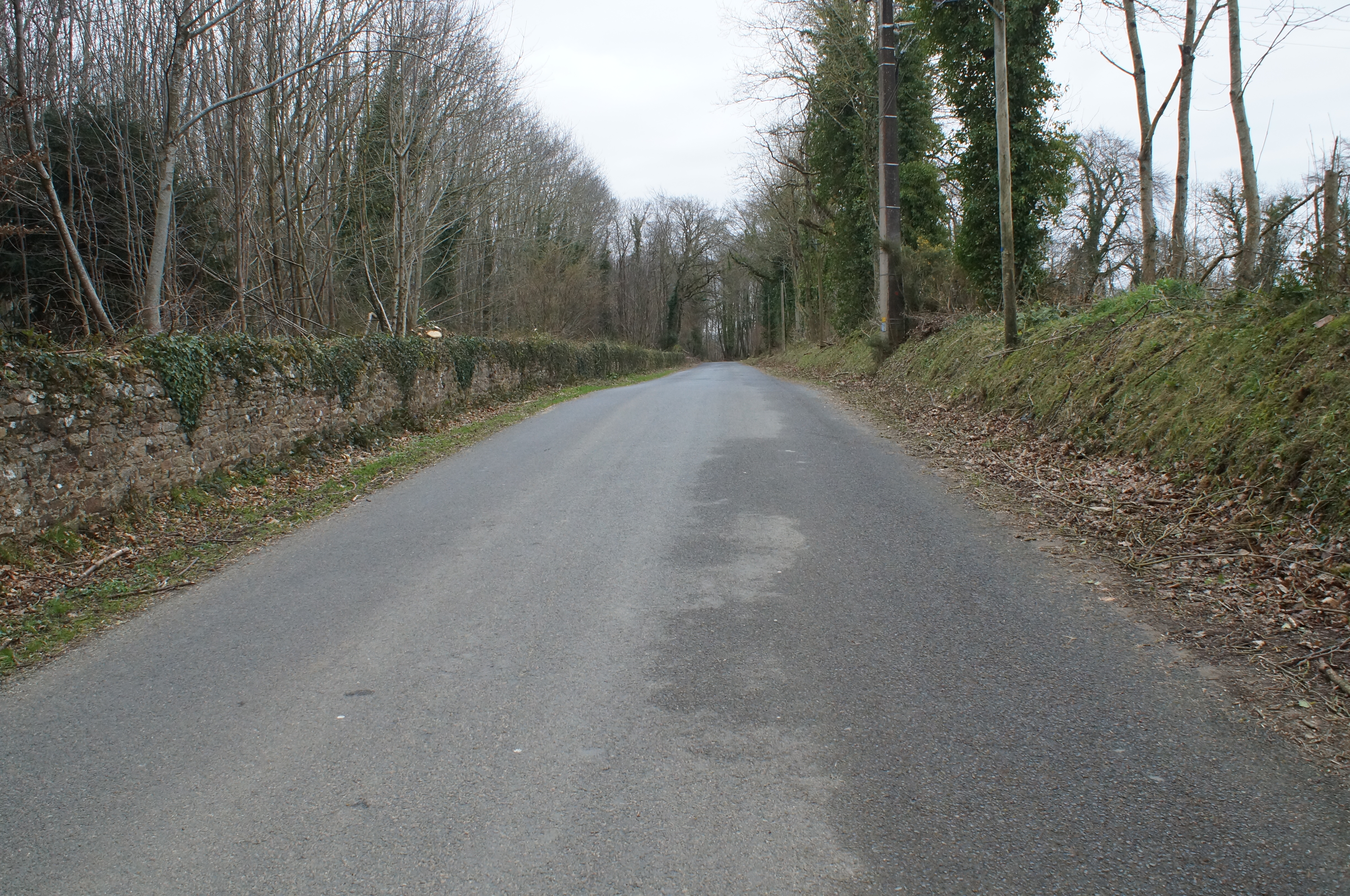 Dsc08870