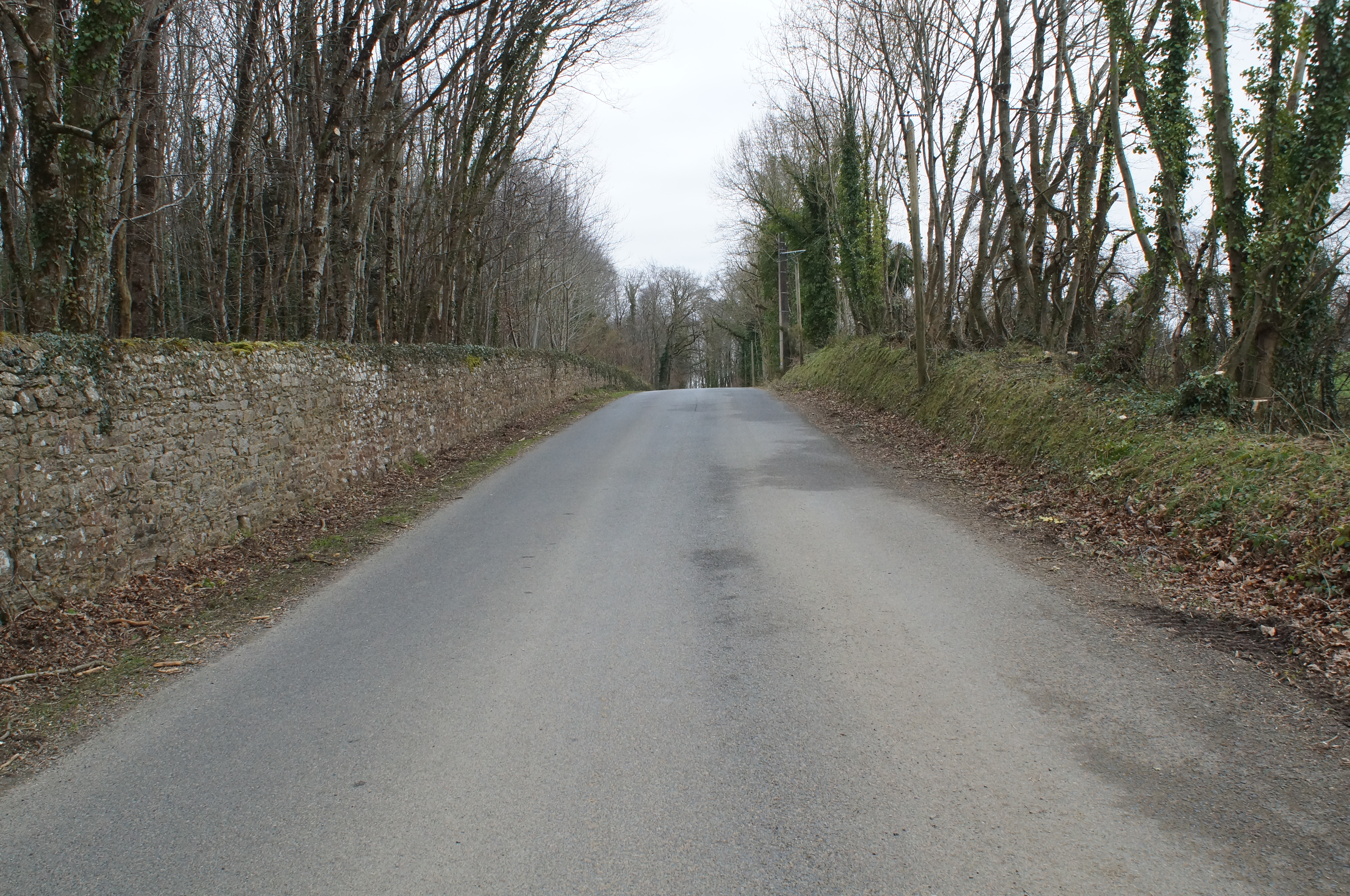 Dsc08869