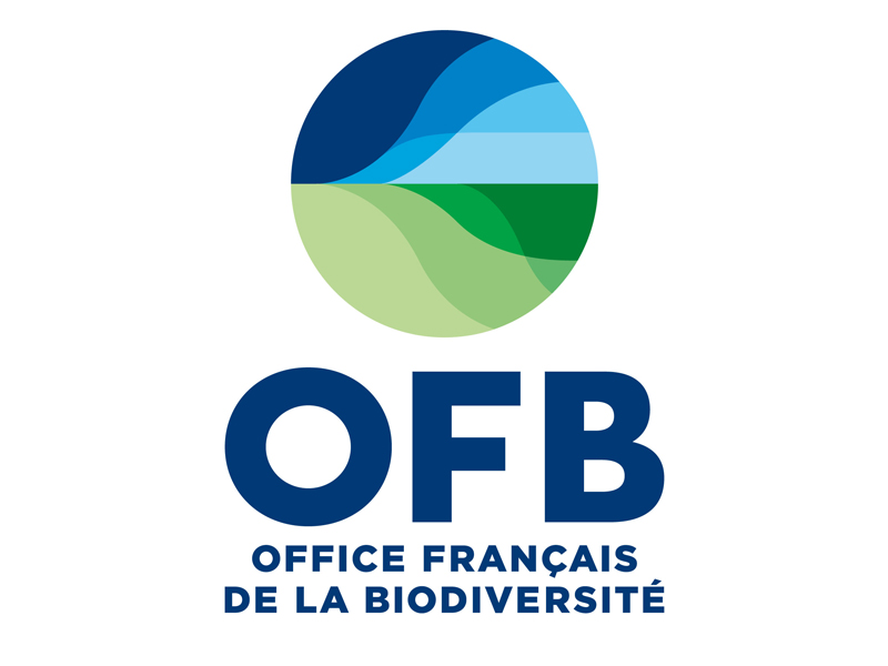 Logo-ofb-actualite