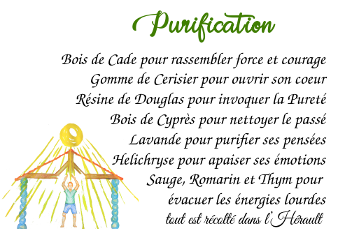 Capture-d-ecran-du-2025-02-05-21-09-03