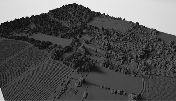 Image4