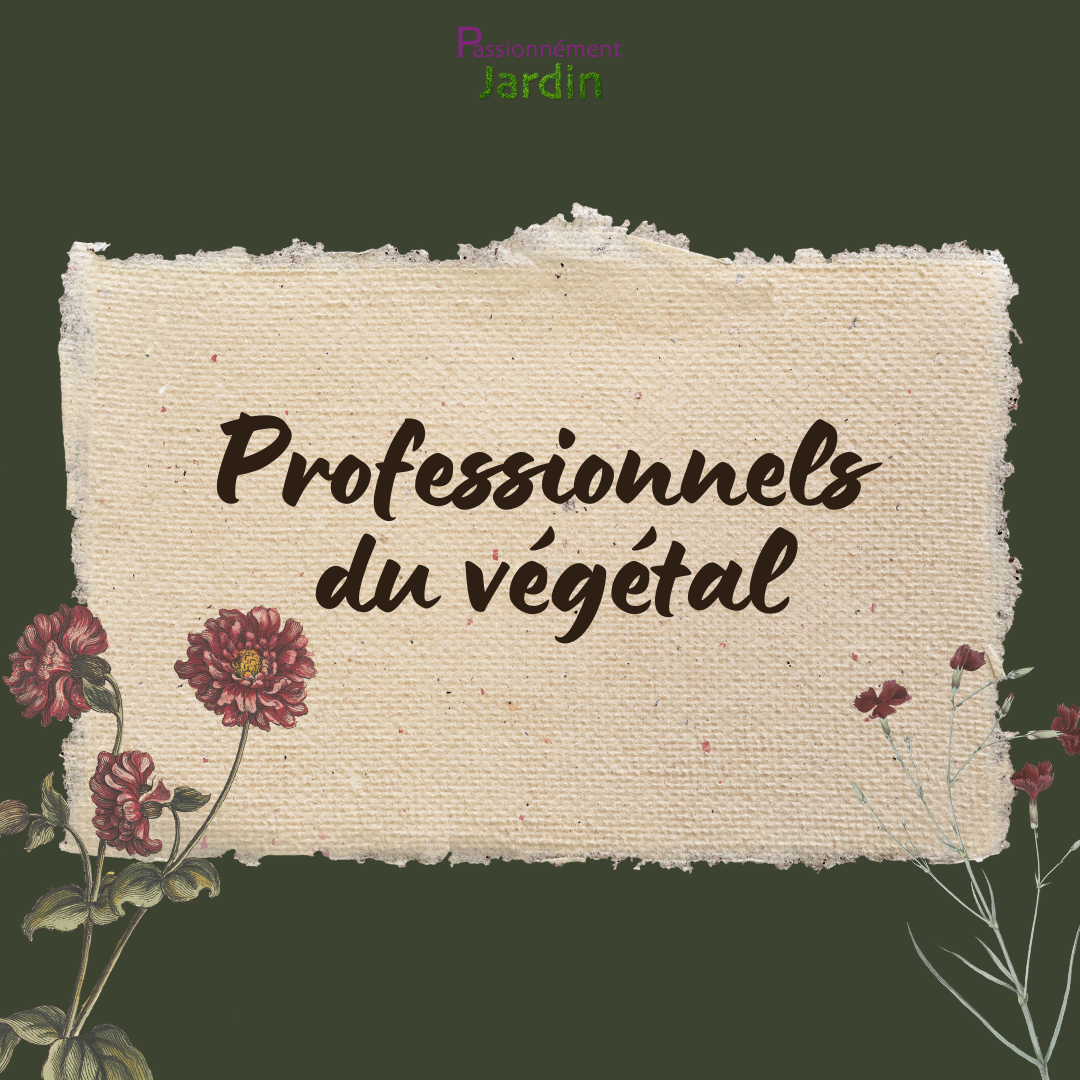 Presentation