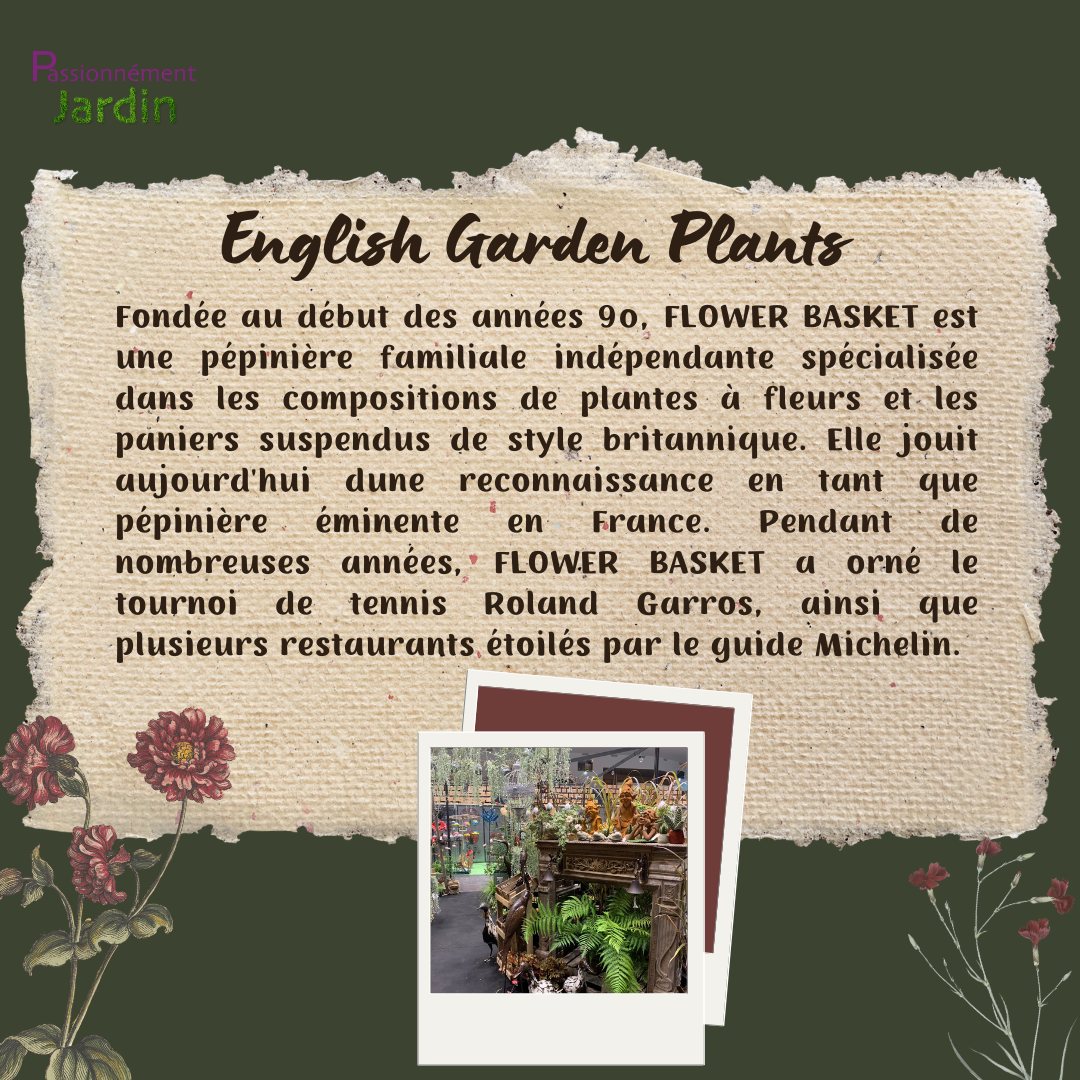 English-Garden-Plants