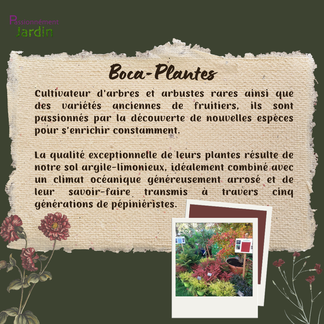 Boca-Plantes