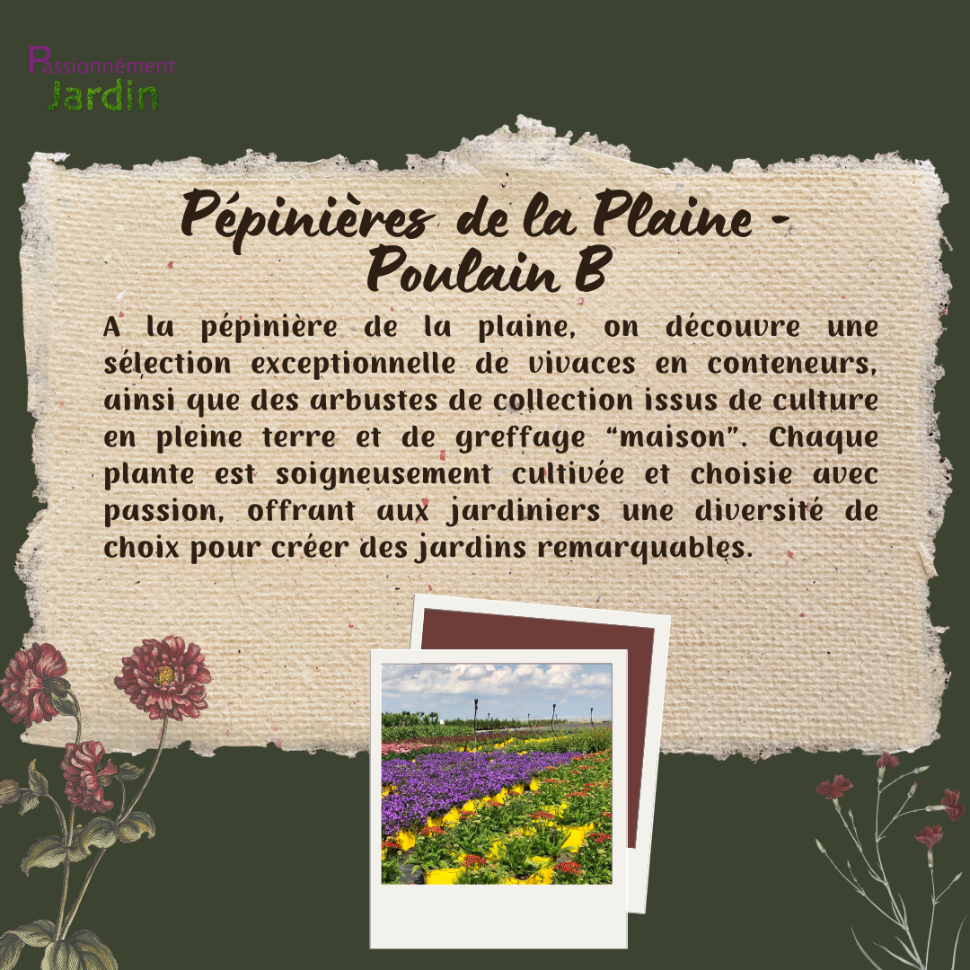 Pepinieres-de-la-Plaine-Poulain-B