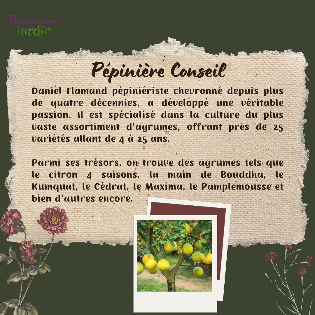 Pepiniere-Conseil