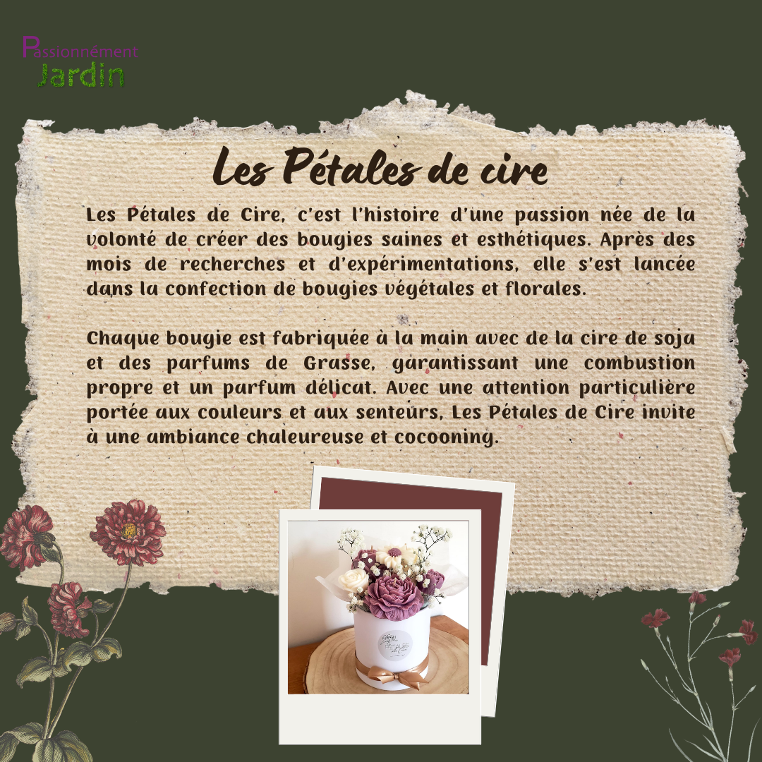 Les-Petales-de-cire