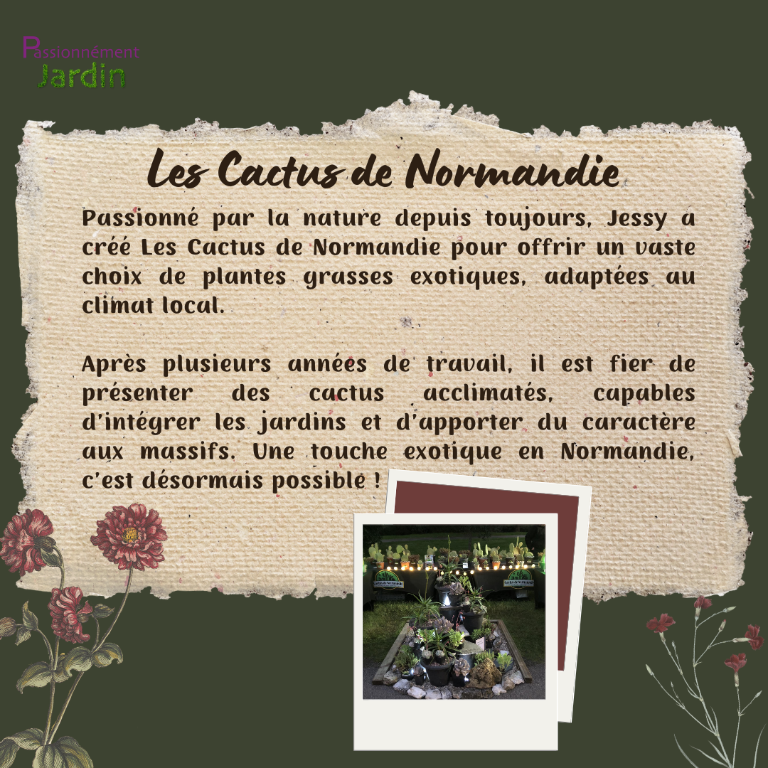 Les-Cactus-de-Normandie