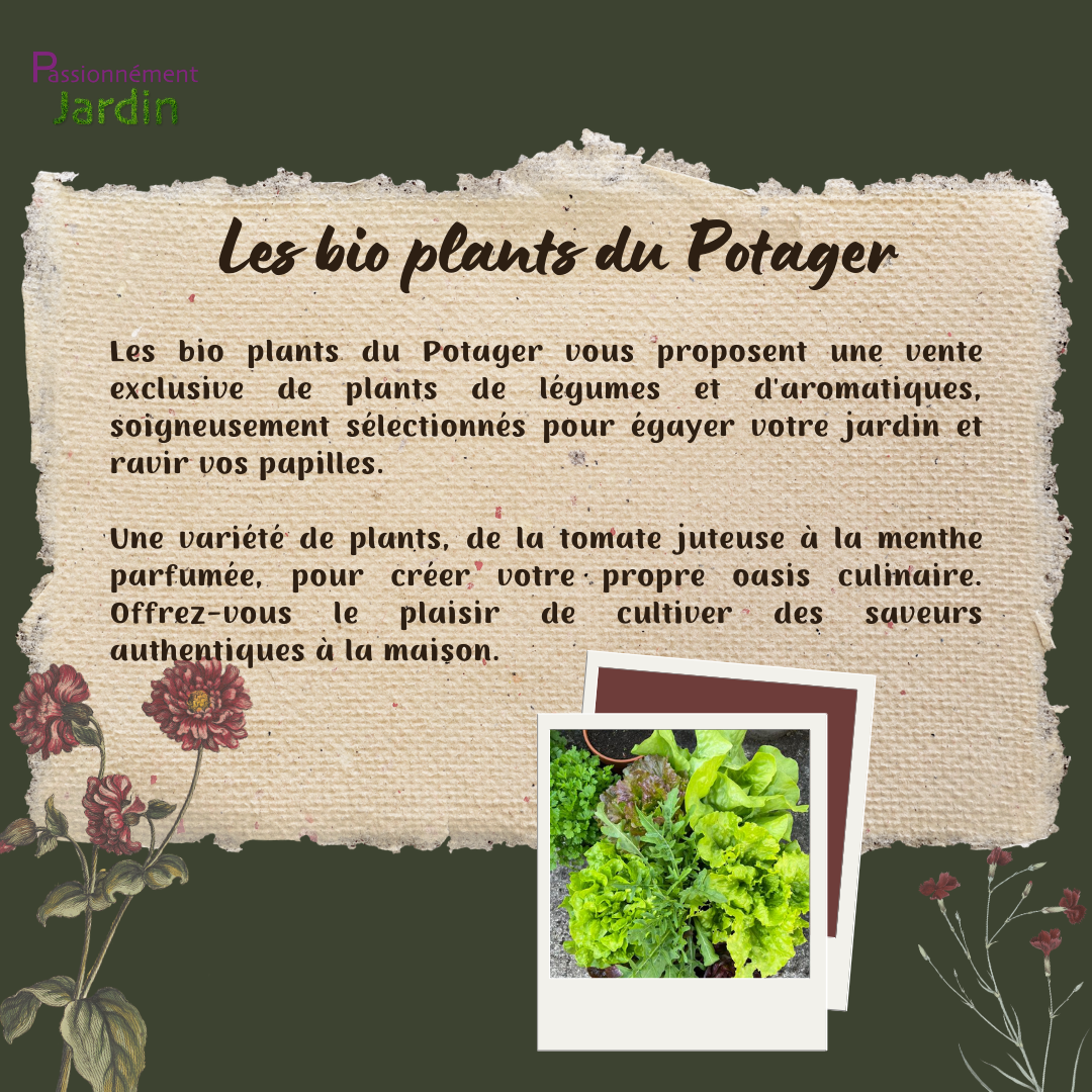 Les-bio-plants-du-Potager