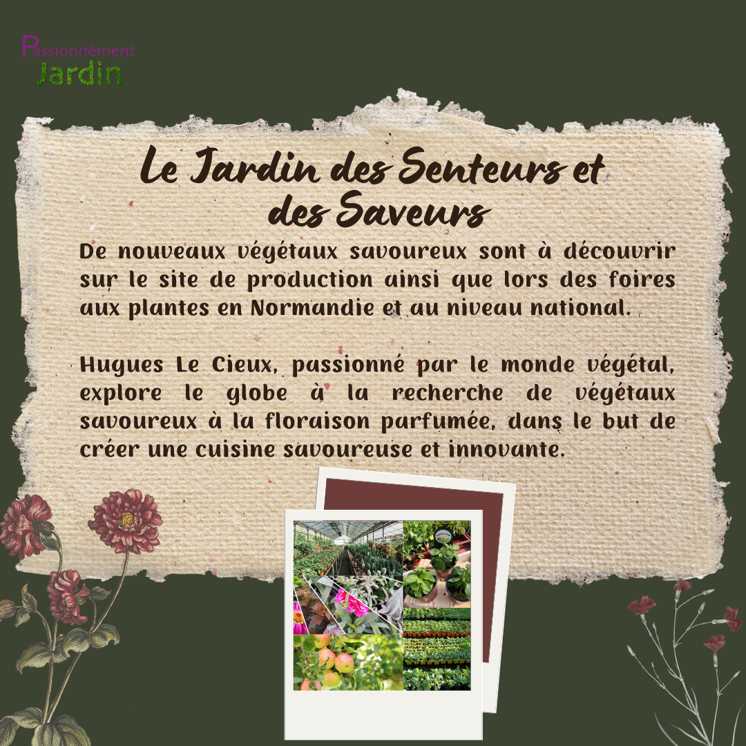 Le-Jardin-des-Senteurs-et-des-Saveurs