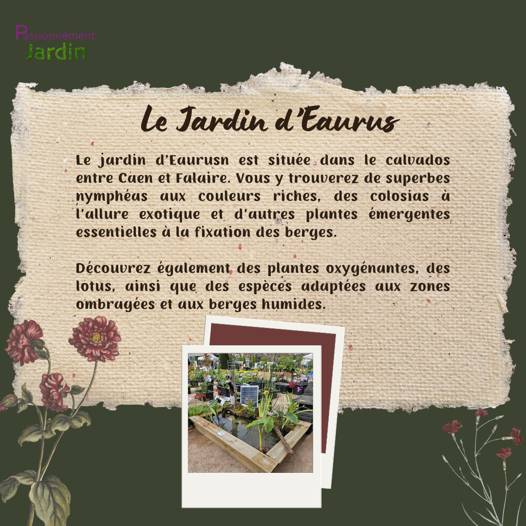 Le-Jardin-d-Eaurus
