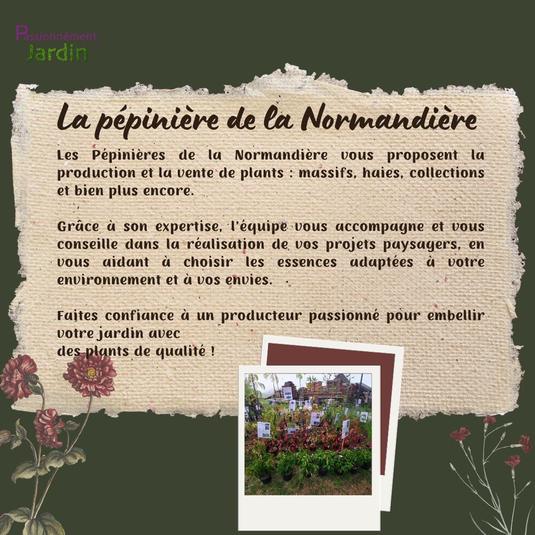 La-Pepiniere-de-la-Normandiere